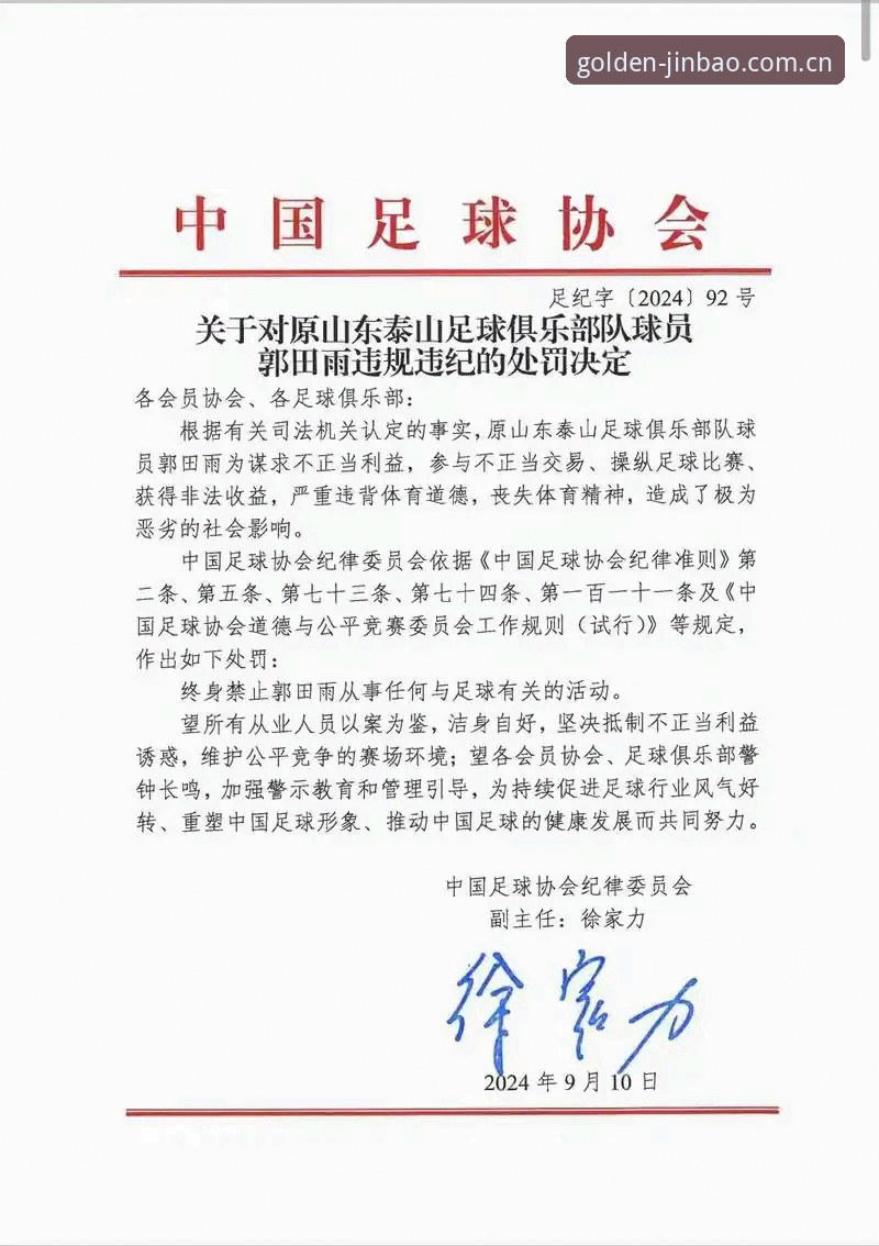 博彩平台 足协重拳vs行业顽疾:第三批禁足名单揭秘中国足球治理新篇章